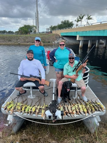 Iguana And Goose Hunt With Retrieval Dog In Plantation