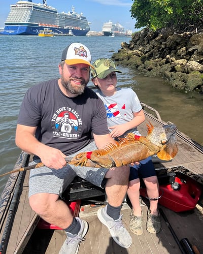 Iguana And Goose Hunt With Retrieval Dog In Plantation