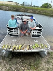 Iguana And Goose Hunt With Retrieval Dog In Plantation