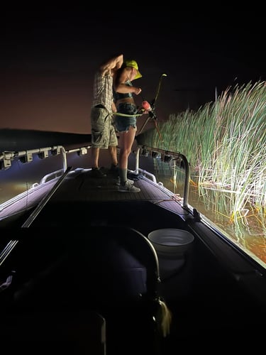 Ft. Lauderdale Bowfishing Trip in Plantation