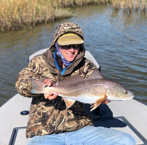 Galveston On The Fly In Galveston