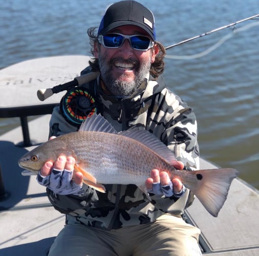 Galveston On The Fly In Galveston