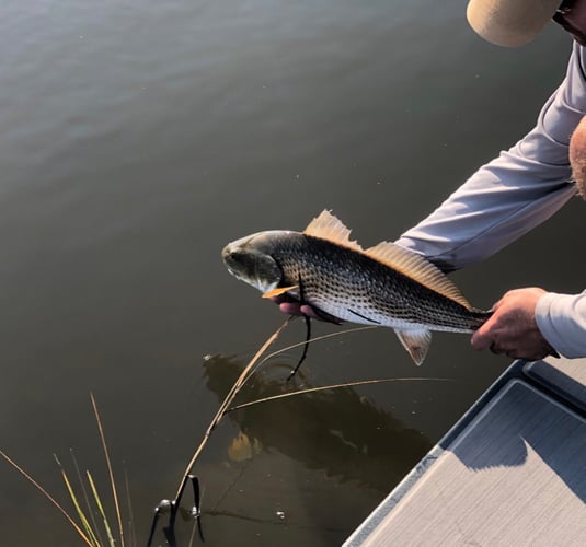 Fly Fishing Galveston In Galveston