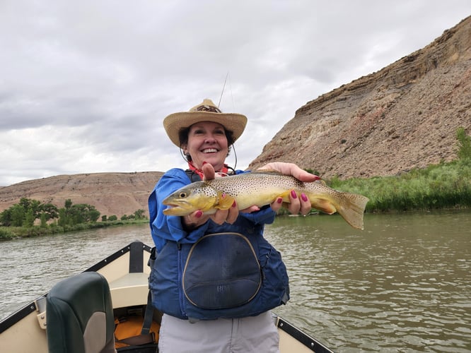 Gunnison River On The Fly In Orchard City