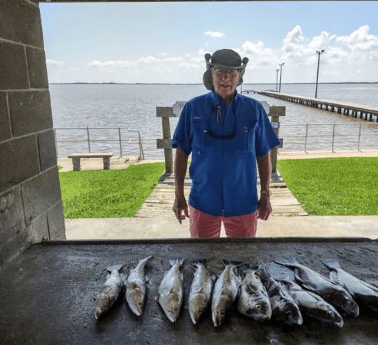 Matagorda "Texas Trio" in Matagorda