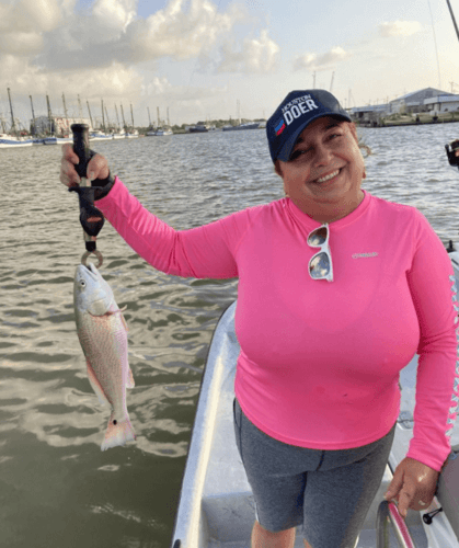 Matagorda "Texas Trio" in Matagorda