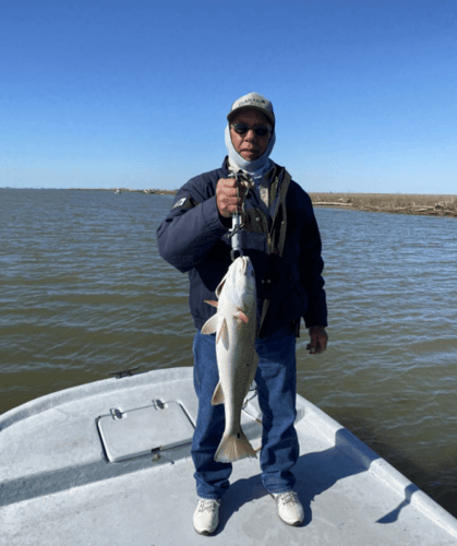 Matagorda "Texas Trio" in Matagorda