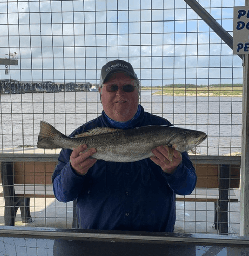 Matagorda "Texas Trio" in Matagorda