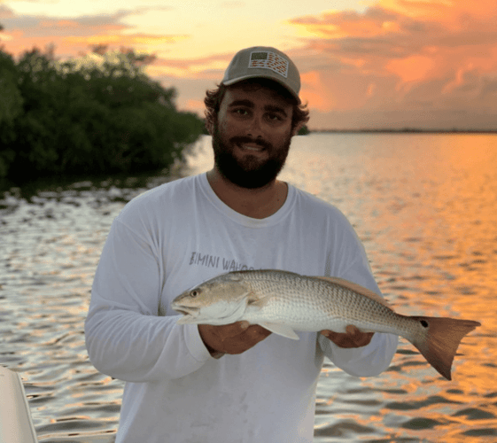 Islamorada Classic Trip In Islamorada