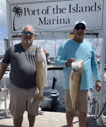 Naples Hook-Up in Naples