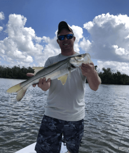 Naples Hook-Up in Naples