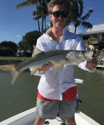 Naples Hook-Up in Naples