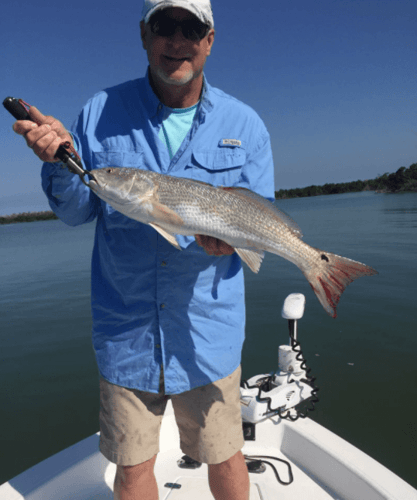 Naples Hook-Up in Naples