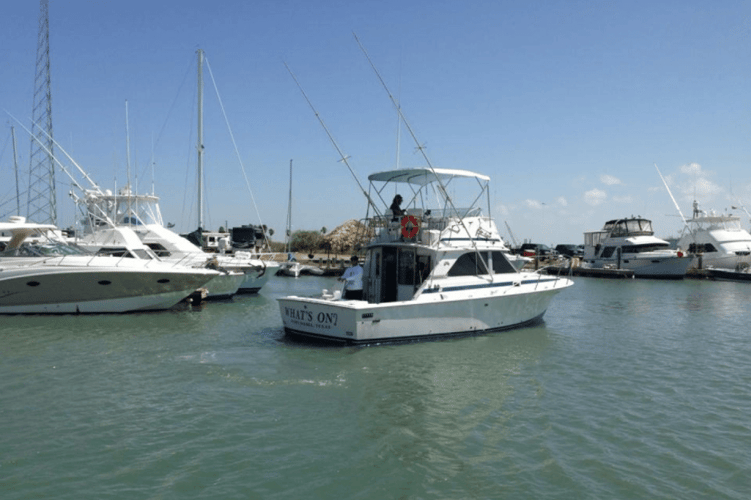 Luxury Offshore Fishing in South Padre Island