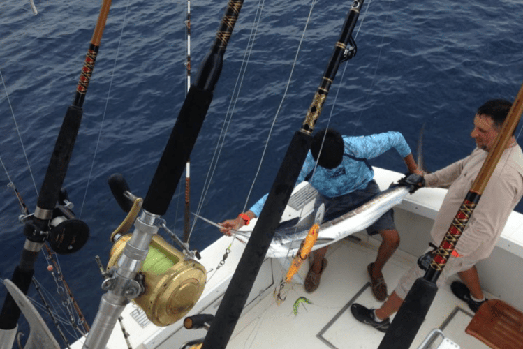 Luxury Offshore Fishing in South Padre Island