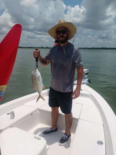 4 Hour Trip - 20' Pathfinder in Naples