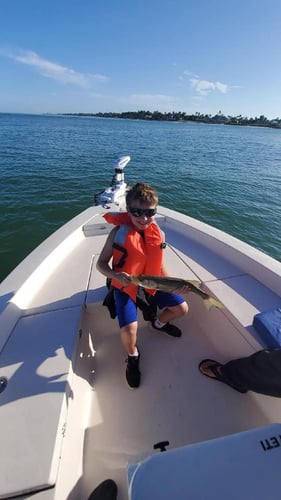 4 Hour Trip - 20' Pathfinder in Naples