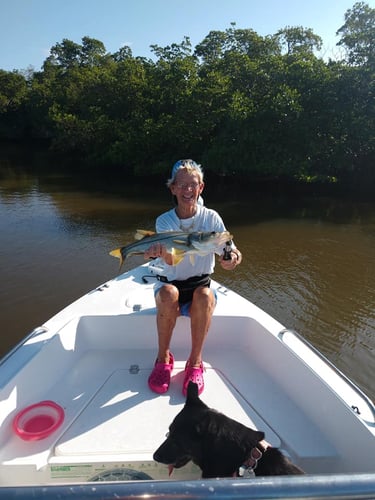 4 Hour Trip - 20' Pathfinder in Naples