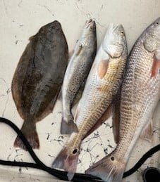 Trophy Trout And Reds In Galveston
