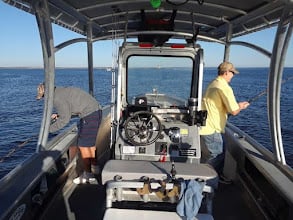 Epic Jacksonville Jetty Trip / 6 hr. in Jacksonville
