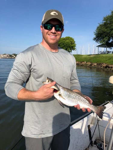 Clear Lake Speckled Trout Special In Clear Lake Shores