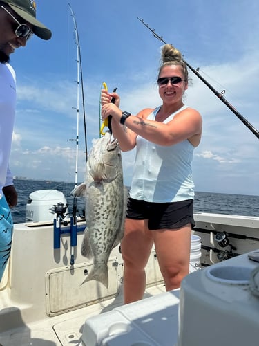 Gulf Side Nearshore Trip in Shalimar