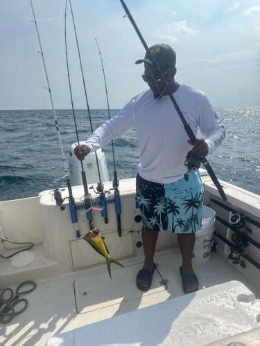 Gulf Side Nearshore Trip in Shalimar