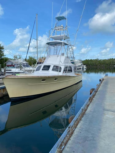 Full Day Trip - 37' Merritt in Islamorada