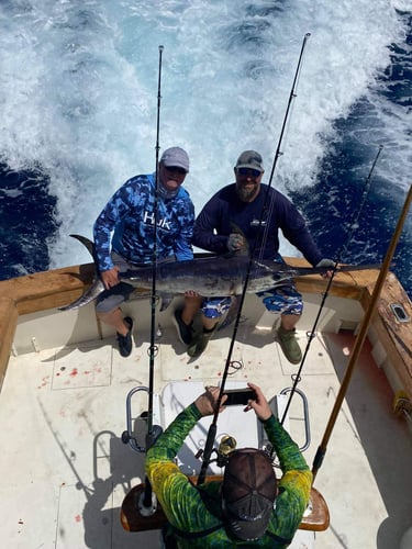Full Day Trip - 37' Merritt in Islamorada