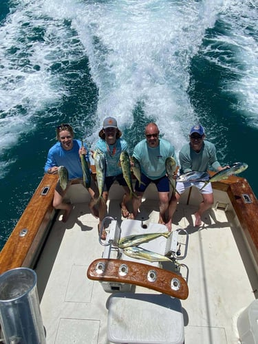 Hot Pursuit In The Gulf Stream In Islamorada