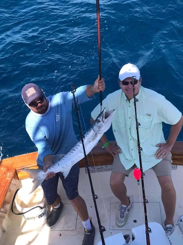 Hot Pursuit In The Gulf Stream In Islamorada