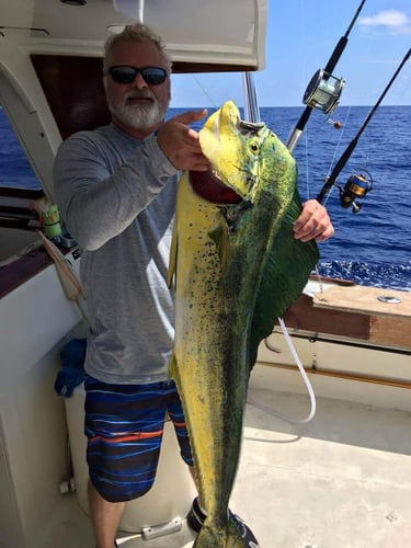 Hot Pursuit In The Gulf Stream In Islamorada