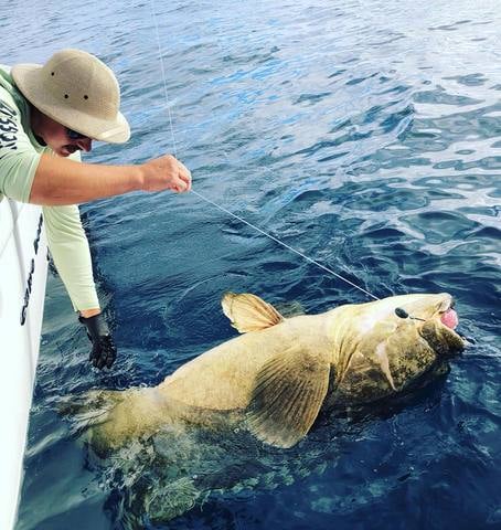 Offshore Seasonal Species - 48’ Yacht Sport Fish In St. Petersburg