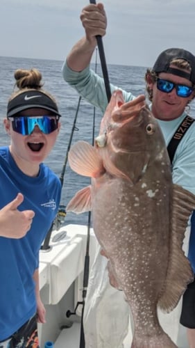 Offshore Seasonal Species - 48’ Yacht Sport Fish In St. Petersburg