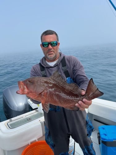 Offshore Max-Out Seasonal Species In St. Petersburg