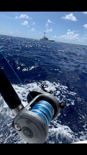 Offshore Max-Out Seasonal Species In St. Petersburg