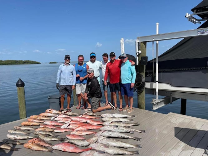 Offshore Seasonal Species - 48’ Yacht Sport Fish In St. Petersburg