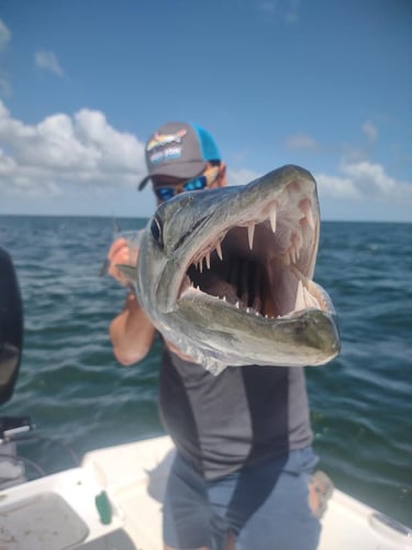 Shallow Water Drift / Patch Reef / Jig Fishing / Gulf Kings In Big Pine Key