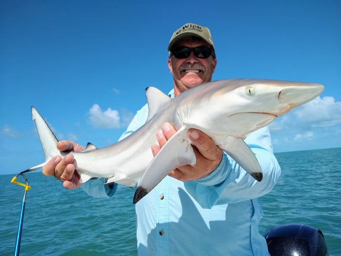 Shallow Water Drift / Patch Reef / Jig Fishing / Gulf Kings In Big Pine Key