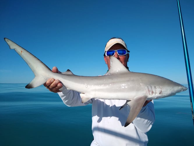 Shallow Water Drift / Patch Reef / Jig Fishing / Gulf Kings In Big Pine Key