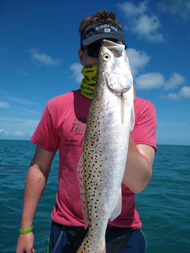 Shallow Water Drift / Patch Reef / Jig Fishing / Gulf Kings In Big Pine Key