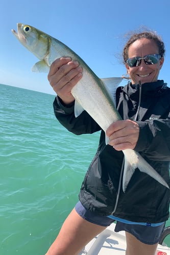 Fly Fishing The Florida Keys In Islamorada