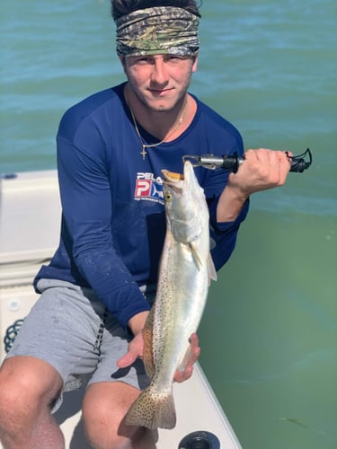 Fly Fishing The Florida Keys In Islamorada