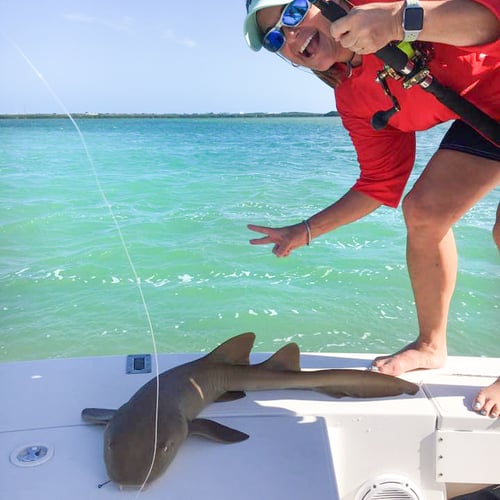 Big Time Shark Trip In Islamorada