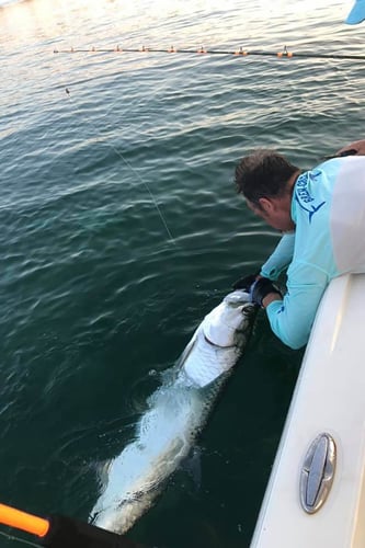 Fly Fishing The Florida Keys In Islamorada