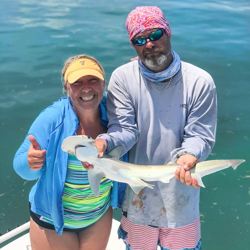 Big Time Shark Trip In Islamorada