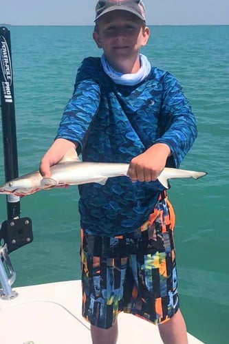 Big Time Shark Trip In Islamorada