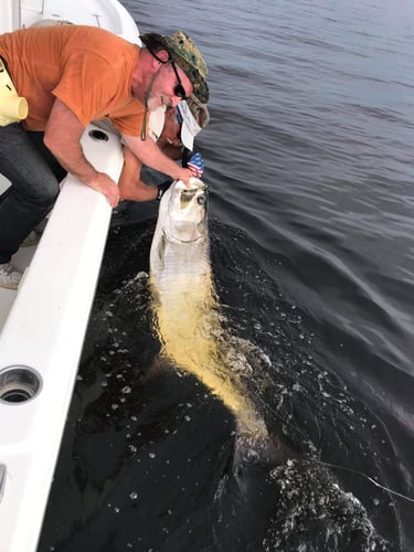 Boca Grande Pass Legendary Tarpon In Boca Grande