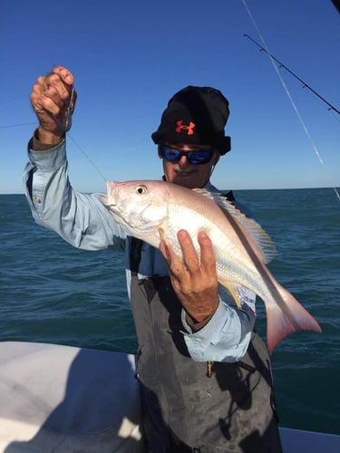 Nearshore Trip with Captain Phil in Naples