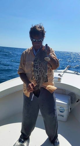 Nearshore Trip with Captain Phil in Naples